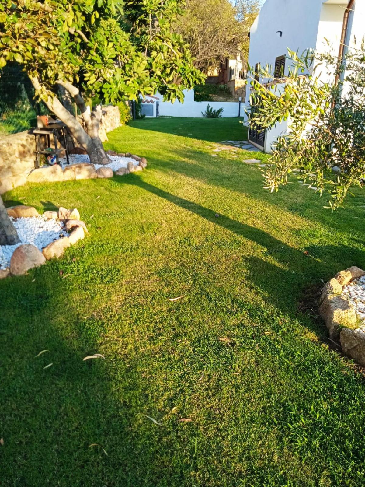 Villetta Cala D'Ambra San Teodoro  Dış mekan fotoğraf